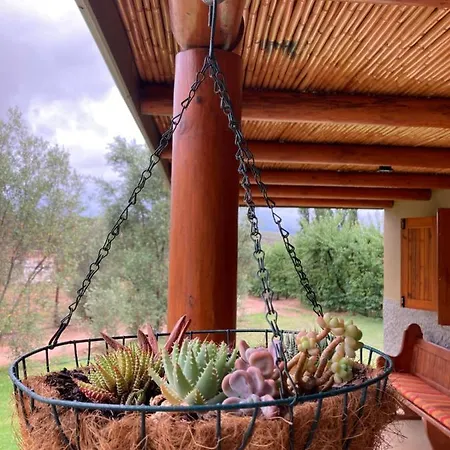 Vogelsang Farm Cottage Oudtshoorn Exterior photo
