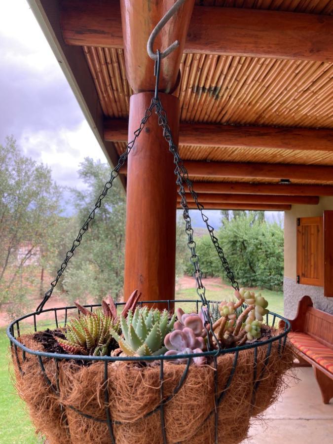 Vogelsang Farm * Oudtshoorn
