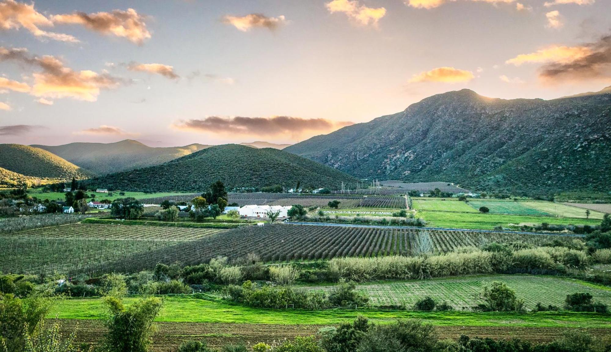 Farm stay Vogelsang Farm Oudtshoorn