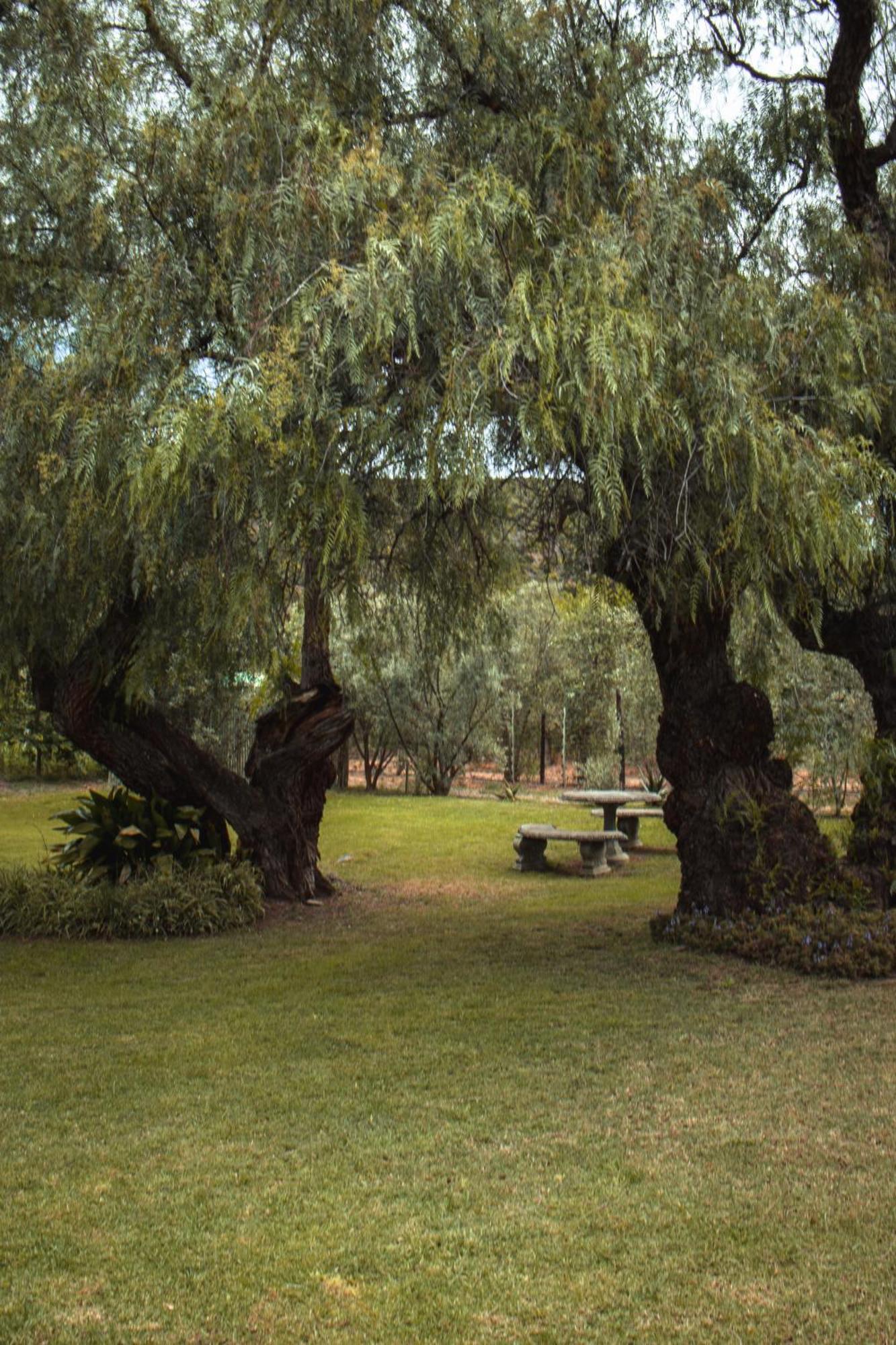Vogelsang Farm * Oudtshoorn