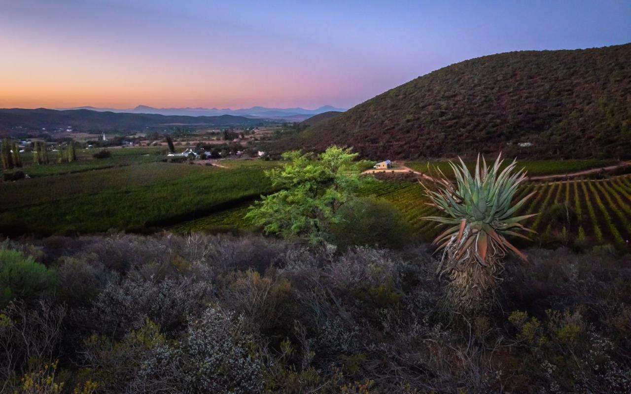 Farm stay Vogelsang Farm Oudtshoorn